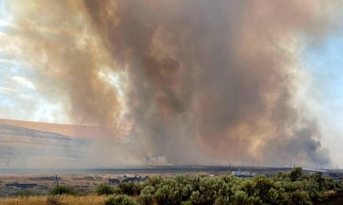 ‘There are no safe levels of pollution’: an interview with wildfire researcher Sam Heft-Neal