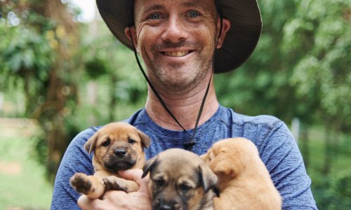 ‘I couldn’t just ignore them’: one man’s mission to save the world’s street dogs