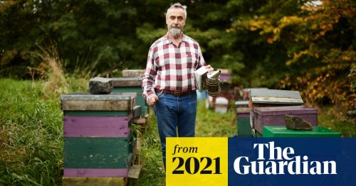 ‘I could be a bee in a hive’: the real-life Beekeeper of Aleppo on life in Yorkshire