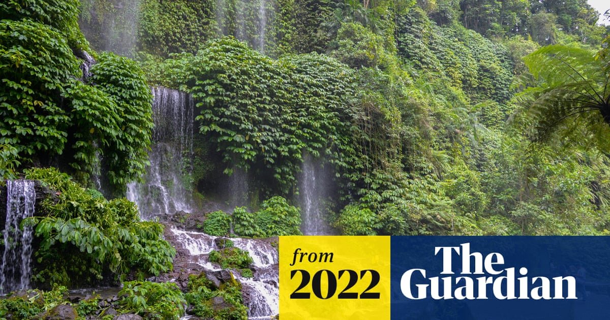 The world’s forests do more than just store carbon, new research finds