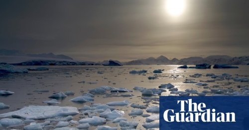 Earth on verge of five catastrophic climate tipping points, scientists warn