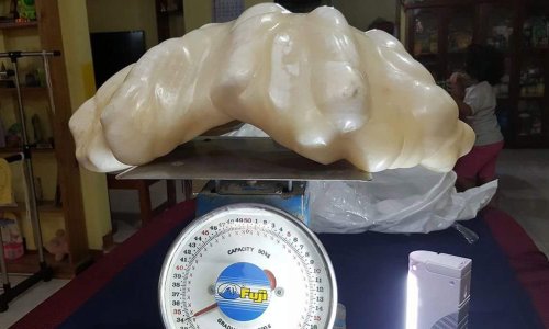 Fisherman hands in giant pearl he kept under the bed for 10 years