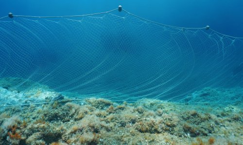 Dumped fishing gear is killing marine life. Yet no governments seem to care