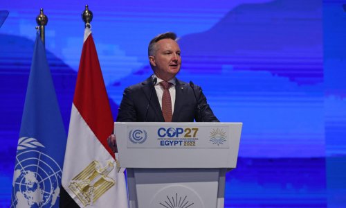 Australia Criticised For Resisting Cop27 Push To End International 