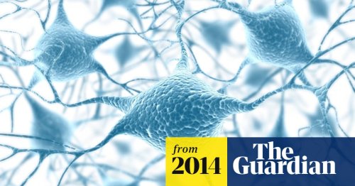 Brain damage could be repaired by creating new nerve cells