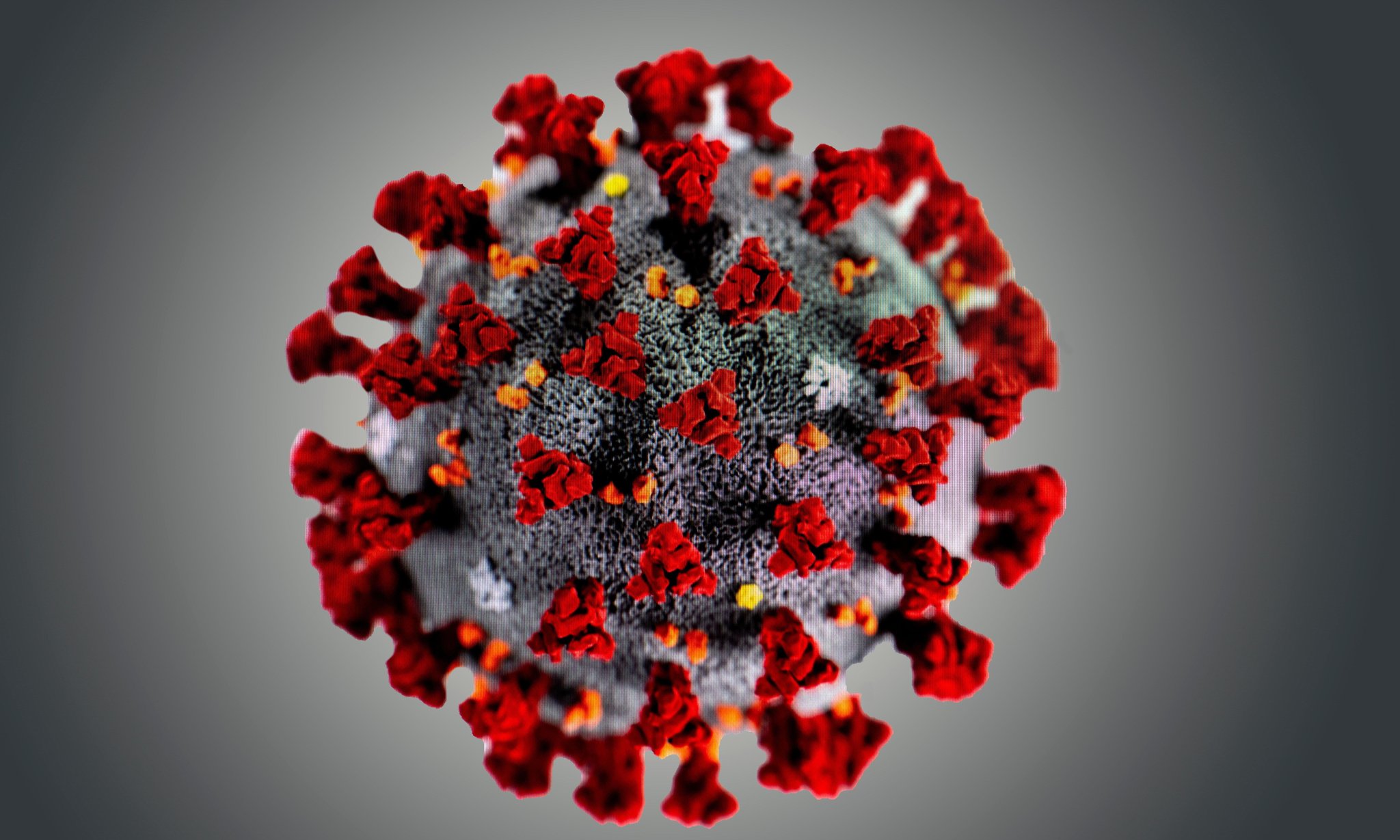 Coronavirus: Latest News - cover