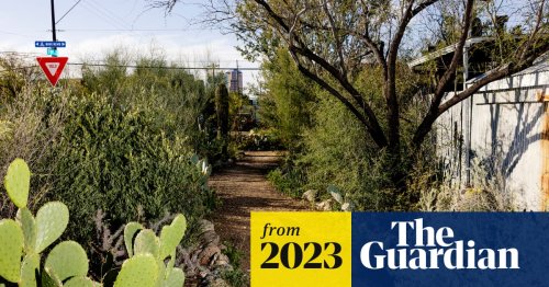 ‘A living pantry’: how an urban food forest in Arizona became a model for climate action