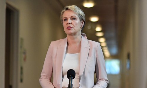Environment report Coalition didn’t release paints ‘damning story of neglect’, Tanya Plibersek says