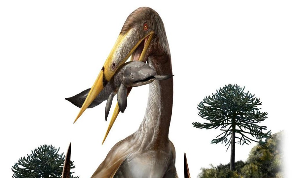 Baby Megalodons Were 6-Foot-Long Womb Cannibals, Study Suggests - Flipboard