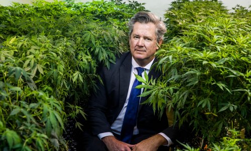 The Noosa yacht club member who led the hemp party to its best result yet in Queensland