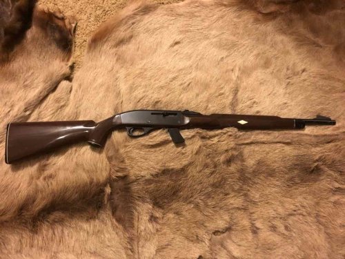 Remington Nylon 66 Black 77 Green 10 C/66 Brown for sale in Houston Texas - Guns List