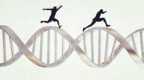 运动改变你我的DNA| 果壳 科技有意思