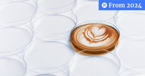 Coffee Is in Danger. Could Salvation for Caffeine Addicts Come From the Lab?
