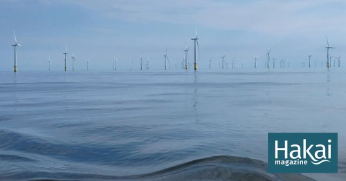 Scientists Eye Offshore Wind’s Effects on the Atlantic’s Crucial Cold Pool
