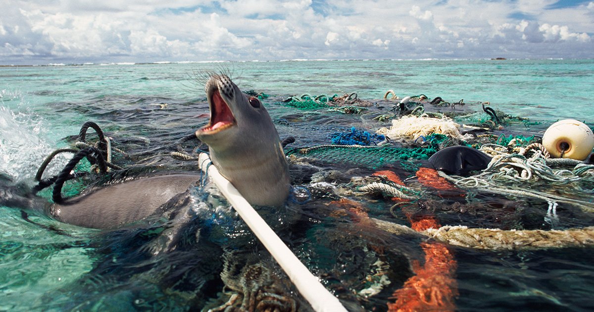 Ghost Gear by Hakai Magazine cover image