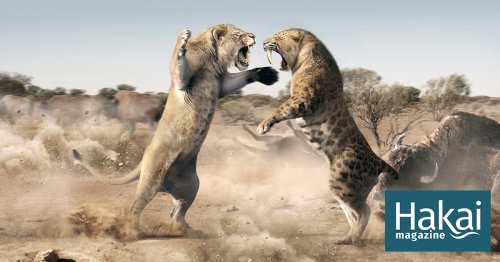 The Lion, the Land Bridge, and the New World