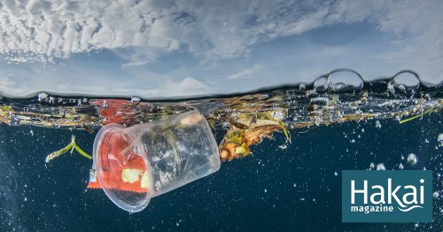 Plastic Pollution May Be Spreading Antibiotic Resistance | Hakai Magazine