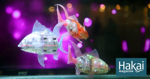 Get Ready for the Robotic Fish Revolution