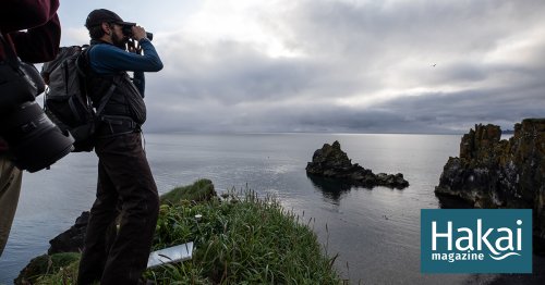 Keeping Watch Over Seabirds at the World’s Edge