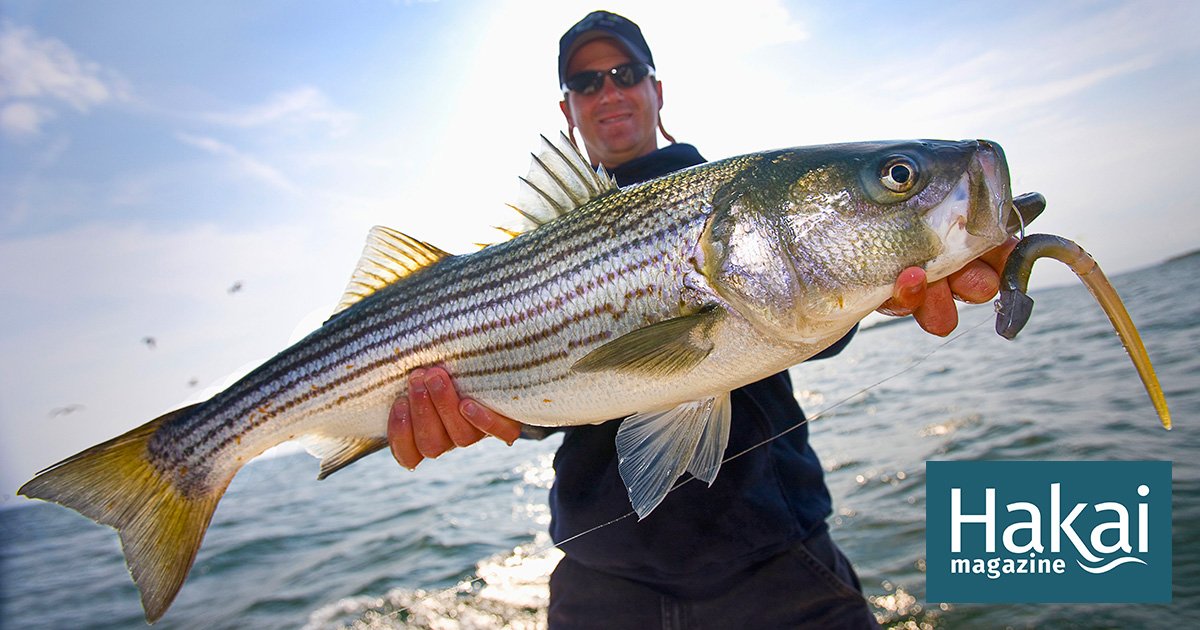 Fishing by Hakai Magazine cover image