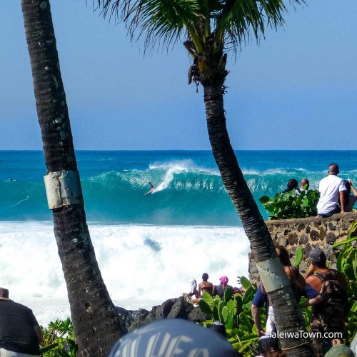 North Shore Surf Competitions Oahu, Hawaii (2024 - 2025 Guide) - Haleiwa Town