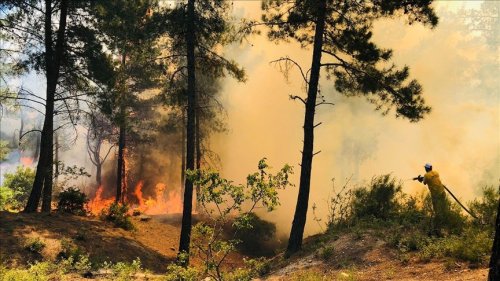 Hatay'da Amanos Dağları'nda orman yangını