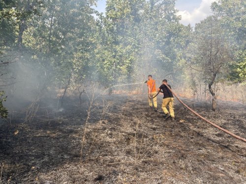 Edirne'de Orman Yangını