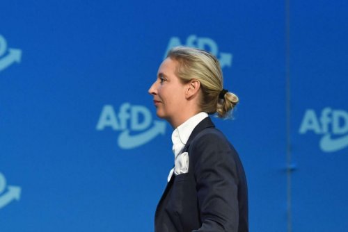 So wurde AfD-Frontfrau Alice Weidel so mächtig