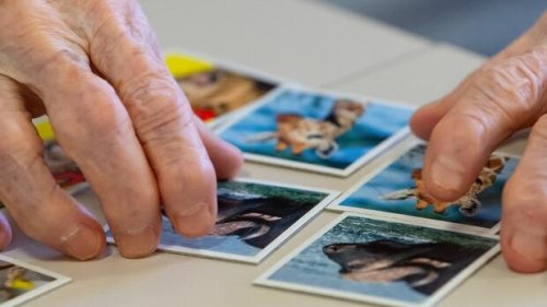Schutz vor Demenz: Wie sich das Alzheimer-Risiko beeinflussen lässt