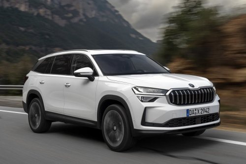 Bär mit Doppelherz – So fährt sich der große Skoda