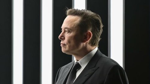 Porträt Elon Musk ist Visionär – doch zunehmend steht er alleine da