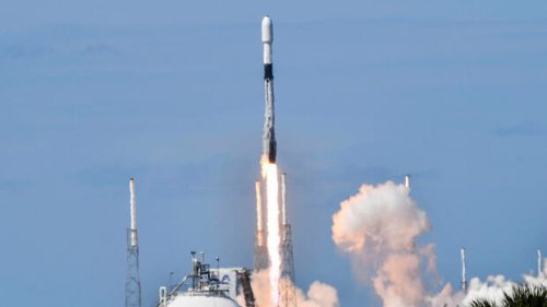 Saudische und VAE-Investoren wollen offenbar bei SpaceX einsteigen