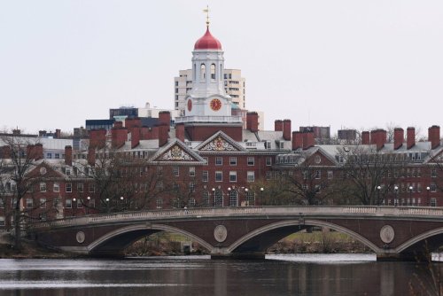 Elite-Uni Harvard verklagt Trump-Regierung – Mehr als 100 Unis positionieren sich