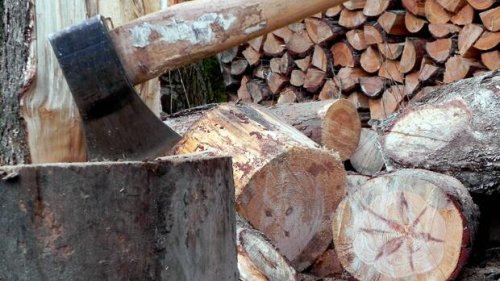 Holzpreise Brennholz wird knapp – Was Verbraucher jetzt noch tun können