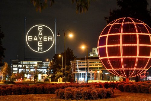 Pharmakonzern: Diese hohen Abfindungen bietet Bayer den Mitarbeitern für schnelles Ausscheiden