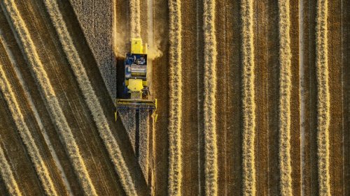 K+S, Nutrien, und Corteva: Gute Aussichten für Agrar-Aktien