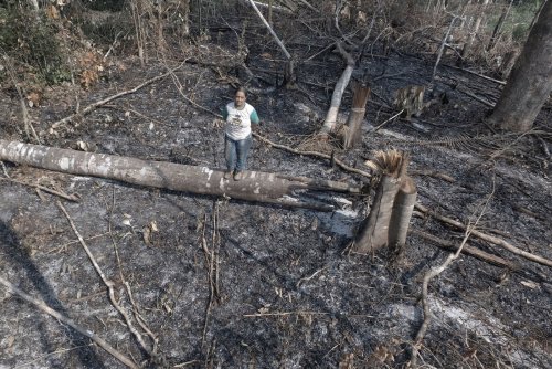 Feinstaubalarm im Regenwald: Verliert Brasilien den Kampf gegen die Versteppung?