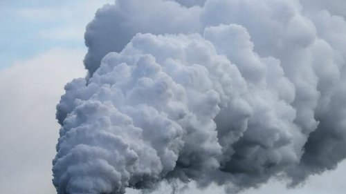 Grünen-Spitze will Kurswechsel bei CO2-Speicherung