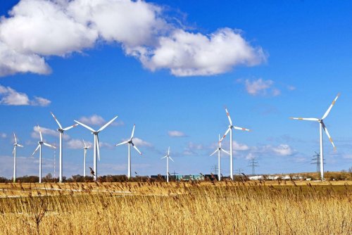 Stromkonzerne und Ökoanbieter streiten über Energiewende
