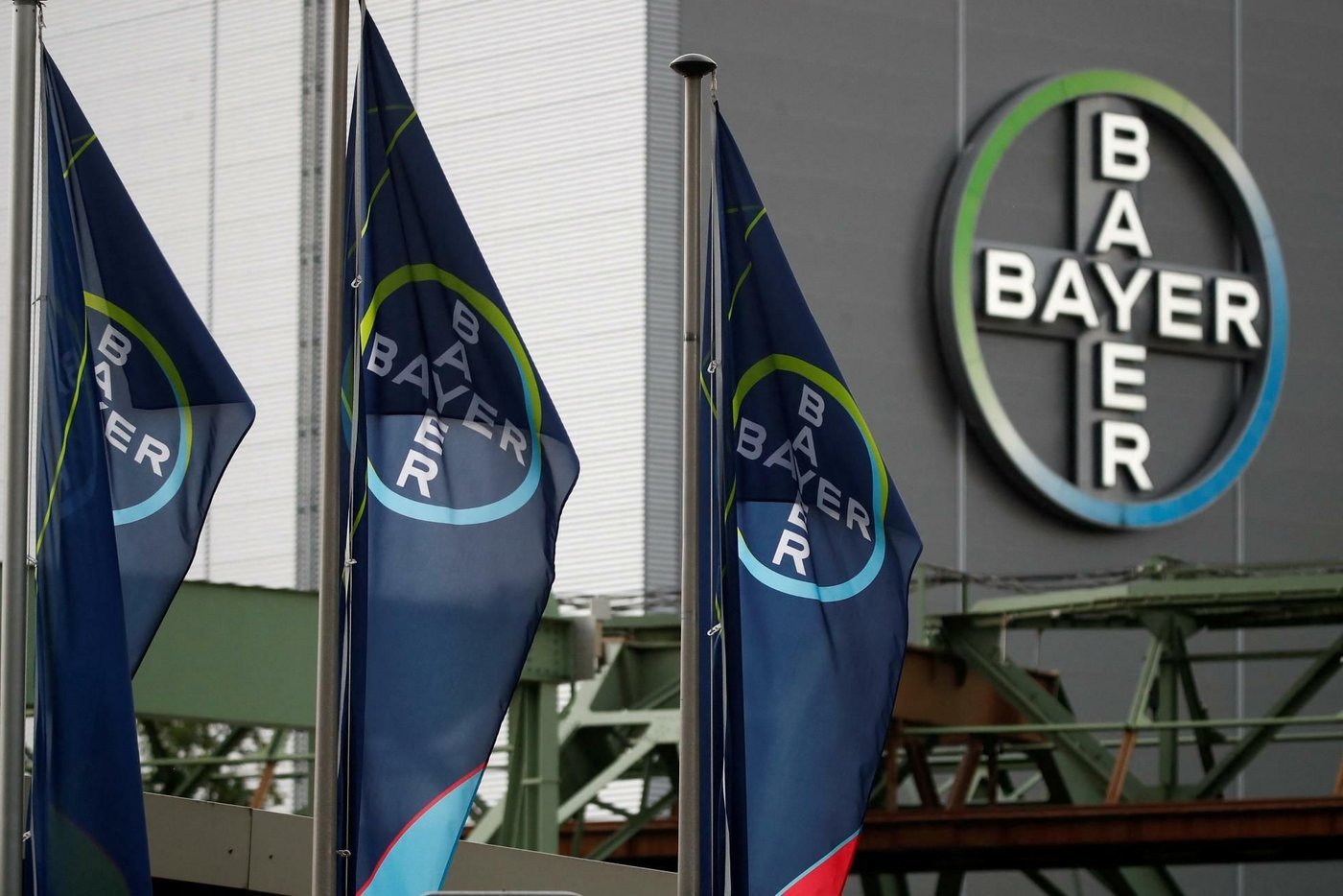 Bayer senkt Dividende um 95 Prozent