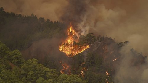 Extreme Waldbrände in Europa auf dem Vormarsch