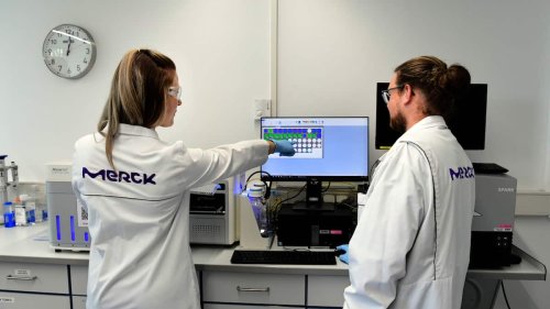 Merck-Chefin warnt vor gewaltigen Hürden für deutsche Abkoppelung von China
