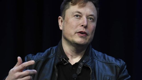 Musk: Twitter-Umfragen nur noch für zahlende Abo-Kunden