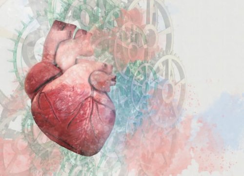 Kardiologie: Das Herz als Wunderwerk der Natur