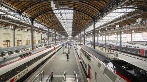 Wegen häufiger Verspätung: Zwei Züge aus Deutschland enden in Basel
