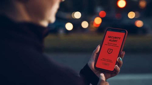 Jede siebte Person hat laut Studie bei Cyberbetrug Geld verloren