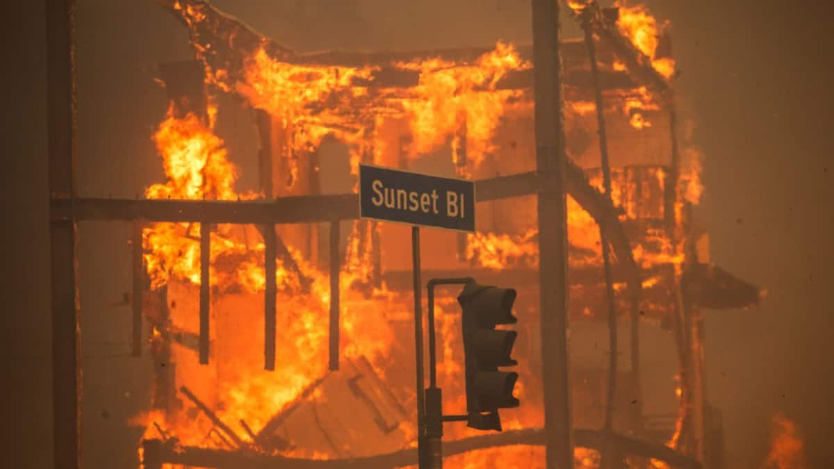 Waldbrände in L.A. treiben versicherte Schäden im 1. Quartal auf über 53 Mrd. Dollar