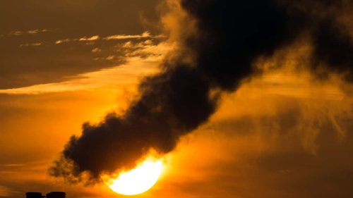237 Schweizer Firmen mit CO2-Reduktionszielen