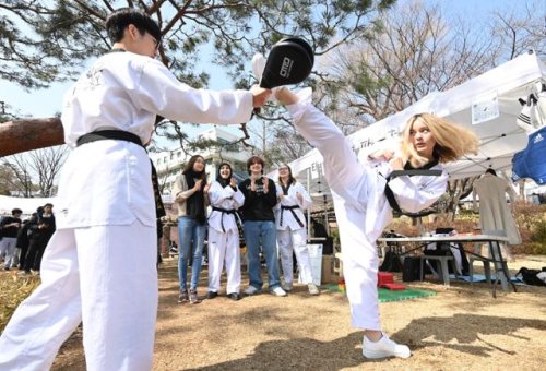 위기의 '원조 K-컬처', 대개혁 필요한 태권도 | 한국일보