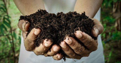 how-long-does-it-take-to-make-compost-for-your-soil-flipboard